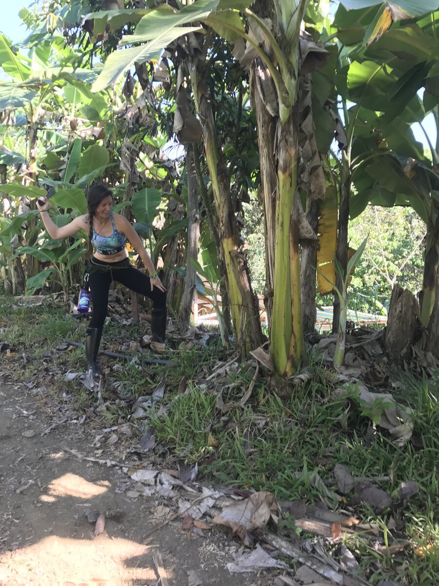 Taya at Verde Energia permaculture farm in Costa Rica, standing among banana trees